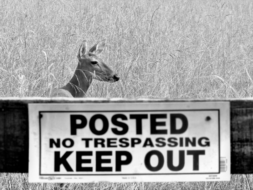 Art-Hughbanks-No Trespassing - Katie Hughbanks (1)