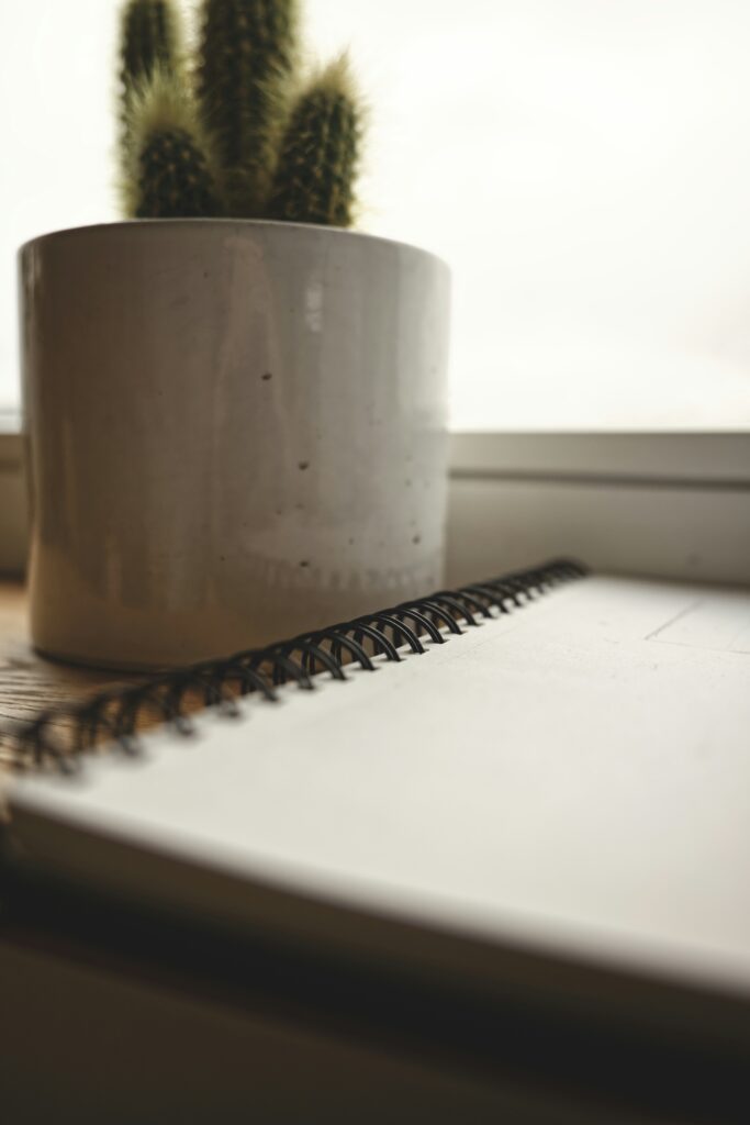 A notebook and a cactus on a desk