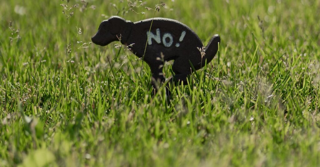 Iron dog sign with 'No!' message on lush green grass, discouraging pooping.