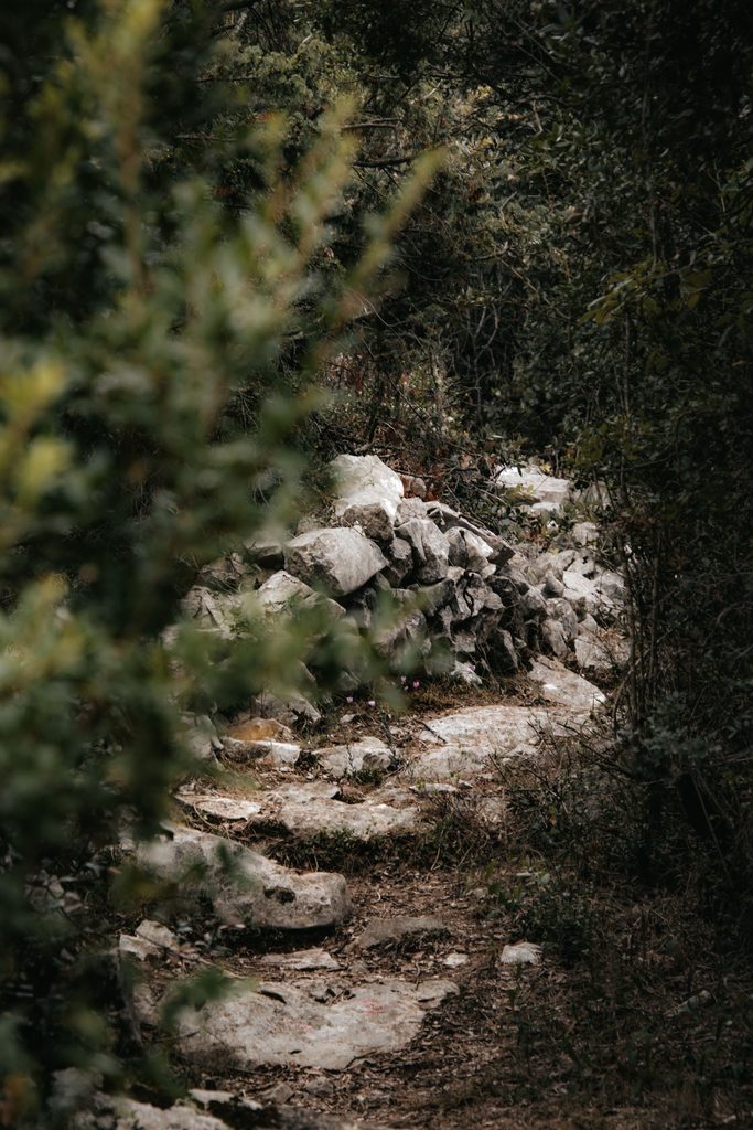 Explore a moody hidden path in Dubrovnik-Neretva County, Croatia, perfect for nature lovers and hikers.